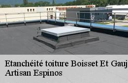 Etanchéité toiture  boisset-et-gaujac-30140 Artisan Espinos