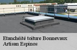 Etanchéité toiture  bonnevaux-30450 Artisan Espinos