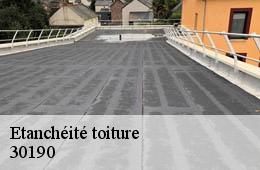 Etanchéité toiture  bourdic-30190 Artisan Espinos