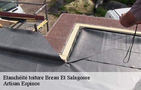 Etanchéité toiture  breau-et-salagosse-30120 Artisan Espinos