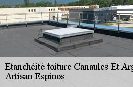 Etanchéité toiture  canaules-et-argentieres-30350 Artisan Espinos