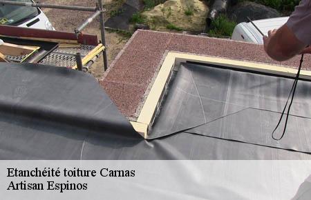 Etanchéité toiture  carnas-30260 Artisan Espinos