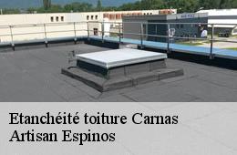 Etanchéité toiture  carnas-30260 Artisan Espinos