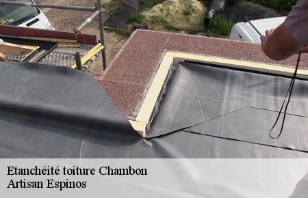 Etanchéité toiture  chambon-30450 Artisan Espinos