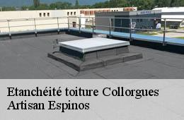 Etanchéité toiture  collorgues-30190 Artisan Espinos