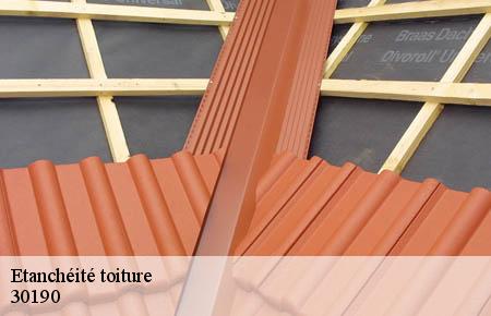 Etanchéité toiture  garrigues-sainte-eulalie-30190 Artisan Espinos