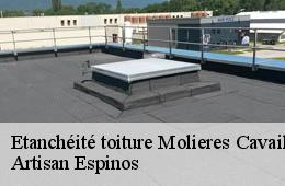 Etanchéité toiture  molieres-cavaillac-30120 Artisan Espinos