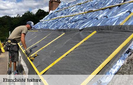 Etanchéité toiture  nimes-30000 Artisan Espinos