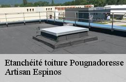 Etanchéité toiture  pougnadoresse-30330 Artisan Espinos