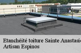 Etanchéité toiture  sainte-anastasie-30190 Artisan Espinos