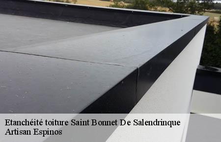 Etanchéité toiture  saint-bonnet-de-salendrinque-30460 Artisan Espinos