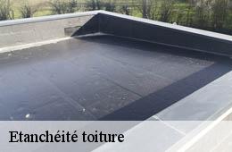 Etanchéité toiture  saint-bresson-30440 Artisan Espinos