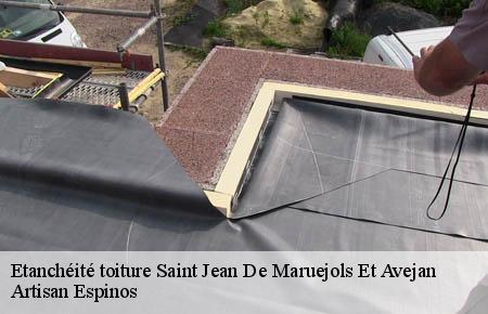 Etanchéité toiture  saint-jean-de-maruejols-et-avejan-30430 Artisan Espinos