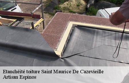 Etanchéité toiture  saint-maurice-de-cazevieille-30360 Artisan Espinos