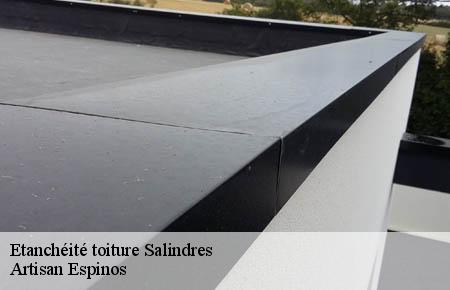 Etanchéité toiture  salindres-30340 Artisan Espinos
