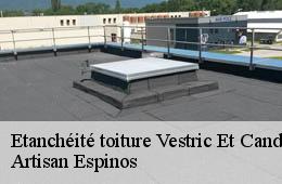 Etanchéité toiture  vestric-et-candiac-30600 Artisan Espinos