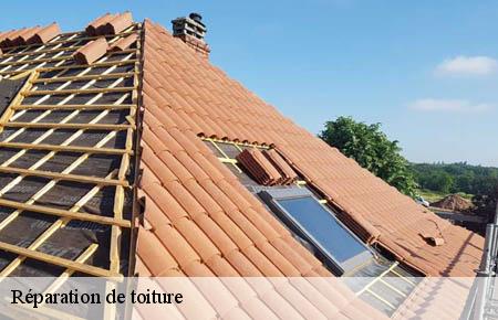 Réparation de toiture  aigremont-30350 Artisan Espinos
