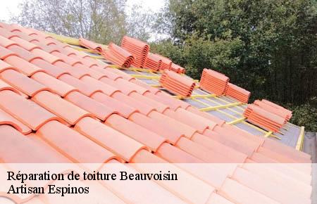 Réparation de toiture  beauvoisin-30640 Couvreurs gardois