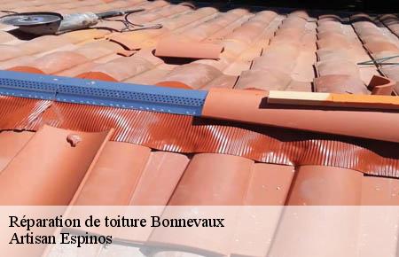 Réparation de toiture  bonnevaux-30450 Artisan Espinos