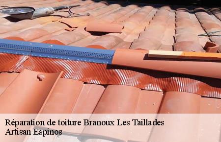 Réparation de toiture  branoux-les-taillades-30110 Artisan Espinos