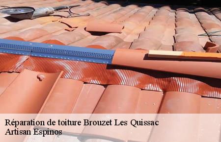 Réparation de toiture  brouzet-les-quissac-30260 Artisan Espinos