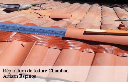 Réparation de toiture  chambon-30450 Artisan Espinos