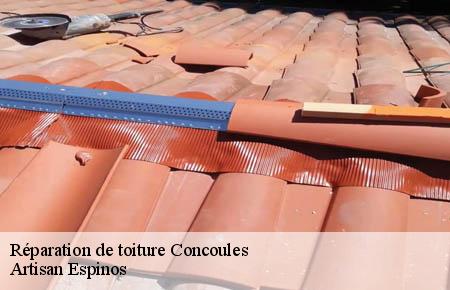 Réparation de toiture  concoules-30450 Artisan Espinos