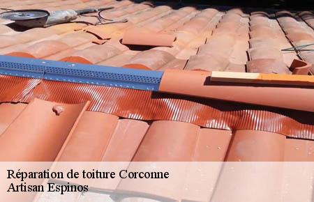 Réparation de toiture  corconne-30260 Artisan Espinos