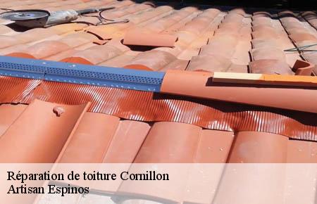 Réparation de toiture  cornillon-30630 Artisan Espinos