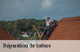 Réparation de toiture  fons-sur-lussan-30580 Artisan Espinos