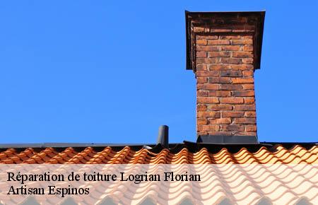 Réparation de toiture  logrian-florian-30610 Artisan Espinos