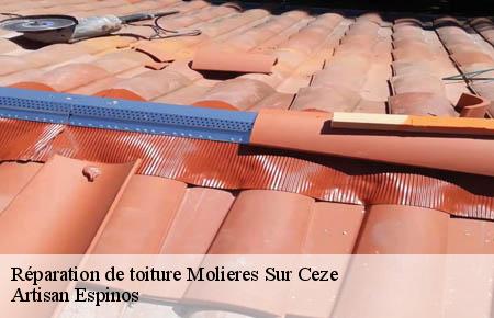 Réparation de toiture  molieres-sur-ceze-30410 Artisan Espinos