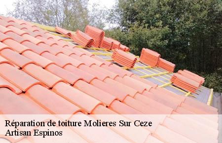 Réparation de toiture  molieres-sur-ceze-30410 Artisan Espinos