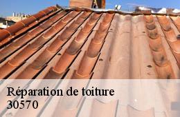 Réparation de toiture  notre-dame-de-la-rouviere-30570 Artisan Espinos