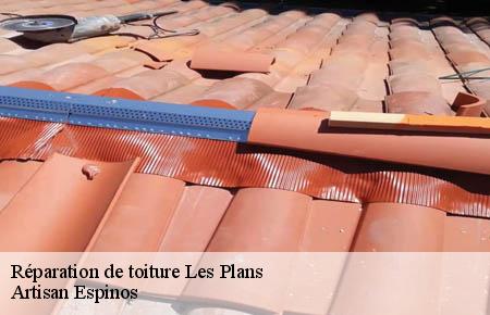 Réparation de toiture  les-plans-30340 Artisan Espinos