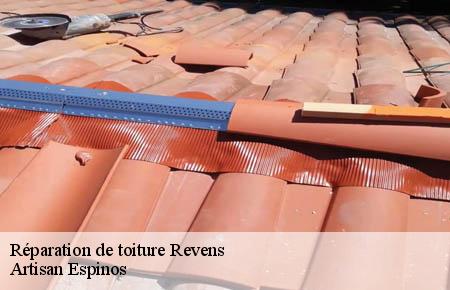 Réparation de toiture  revens-30750 Artisan Espinos