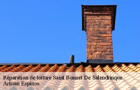 Réparation de toiture  saint-bonnet-de-salendrinque-30460 Artisan Espinos