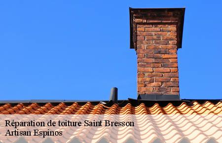 Réparation de toiture  saint-bresson-30440 Artisan Espinos