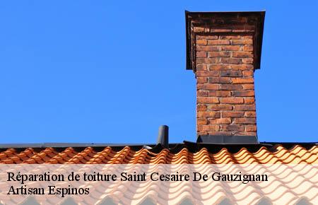 Réparation de toiture  saint-cesaire-de-gauzignan-30360 Artisan Espinos