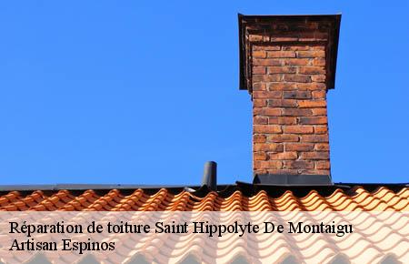 Réparation de toiture  saint-hippolyte-de-montaigu-30700 Artisan Espinos