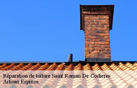 Réparation de toiture  saint-roman-de-codieres-30440 Artisan Espinos