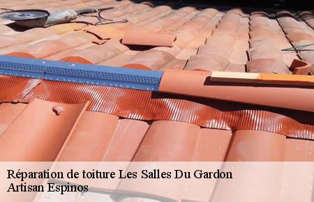 Réparation de toiture  les-salles-du-gardon-30110 Artisan Espinos
