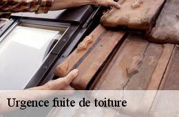 Urgence fuite de toiture 30 Gard  Artisan Espinos