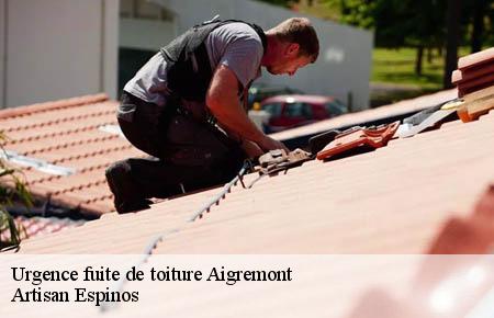 Urgence fuite de toiture  aigremont-30350 Artisan Espinos