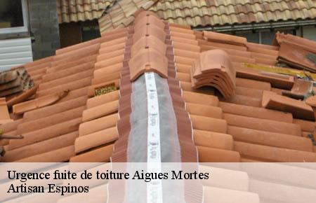 Urgence fuite de toiture  aigues-mortes-30220 Artisan Espinos