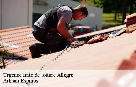 Urgence fuite de toiture  allegre-30500 Artisan Espinos