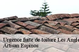 Urgence fuite de toiture  les-angles-30133 Artisan Espinos