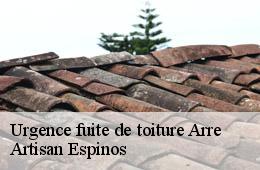 Urgence fuite de toiture  arre-30120 Artisan Espinos