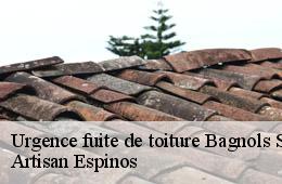 Urgence fuite de toiture  bagnols-sur-ceze-30200 Artisan Espinos