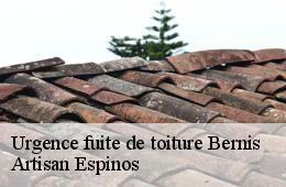 Urgence fuite de toiture  bernis-30620 Artisan Espinos